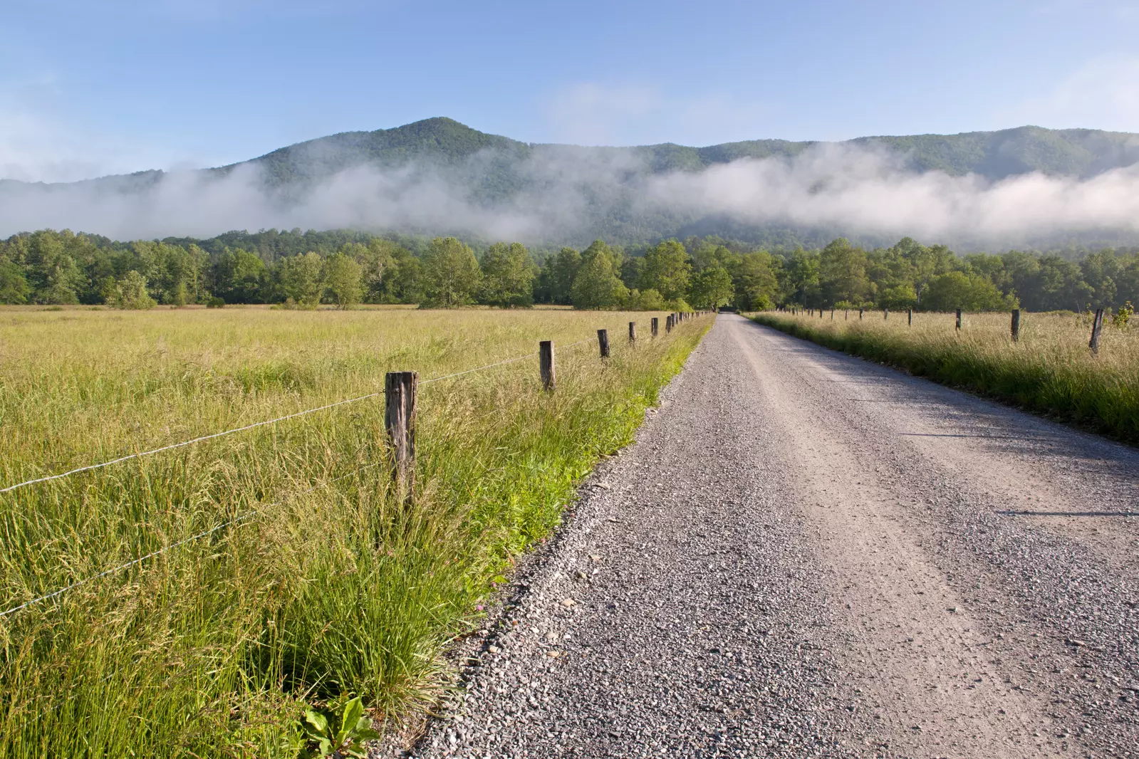 gravel road in Cades Cove in summer with mist over the mountains