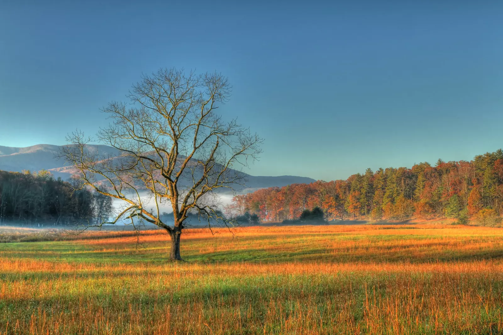 view of Cades Cove in fall