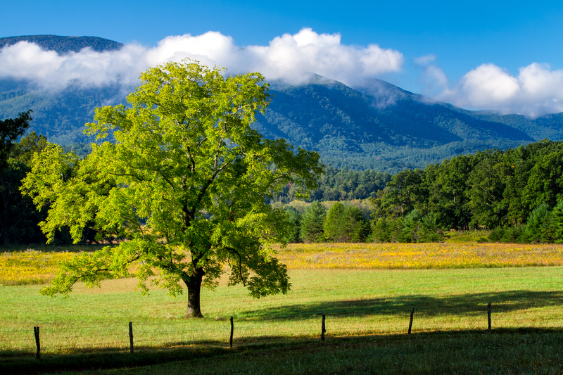 view of the Smoky Mountains from Cades Cove