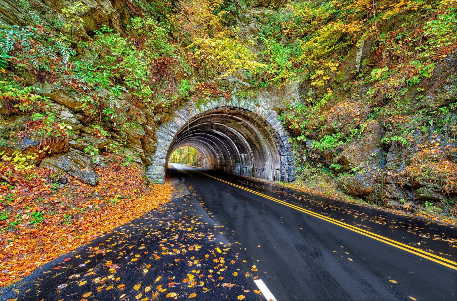 tunnel on the road towards Cades Cove