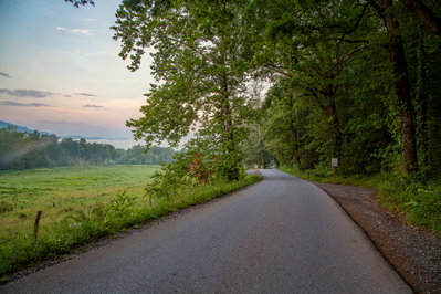 Cades Cove Loop Road 