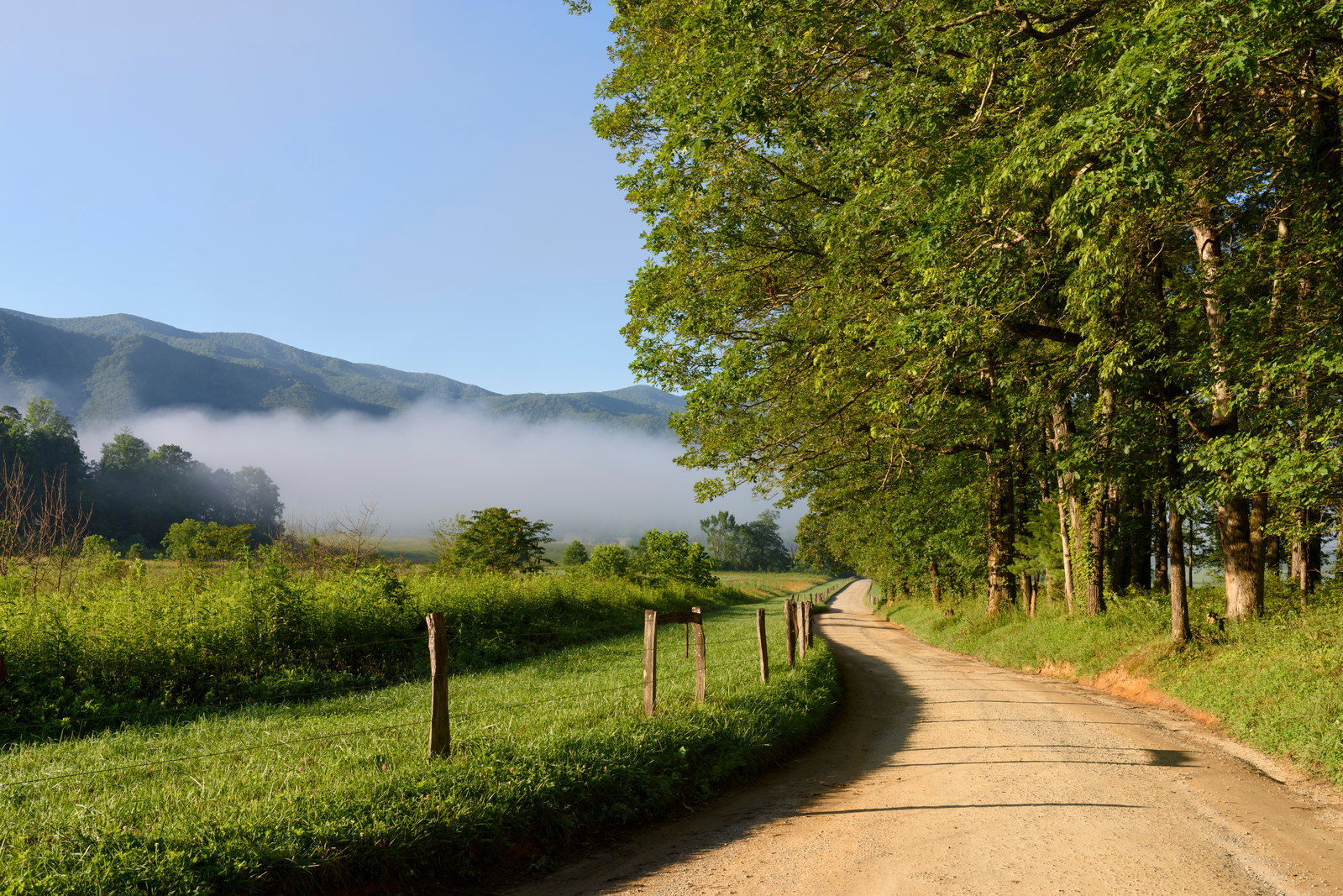 Cades Cove Loop Road on a foggy morning