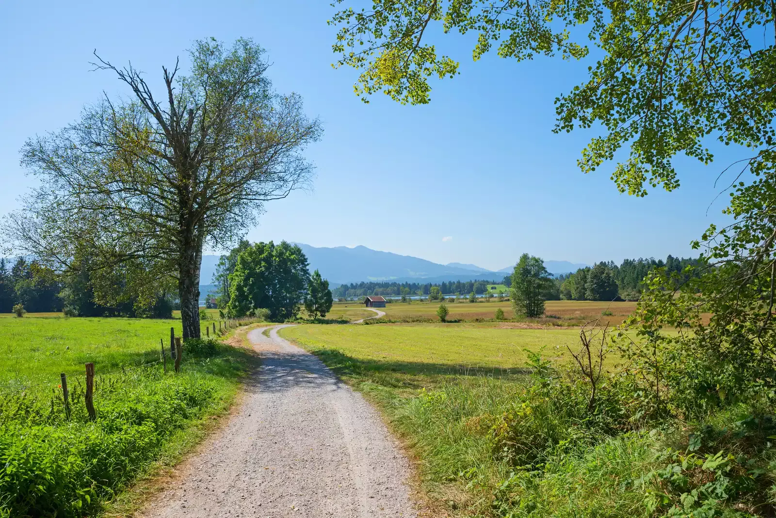 view from Cades Cove