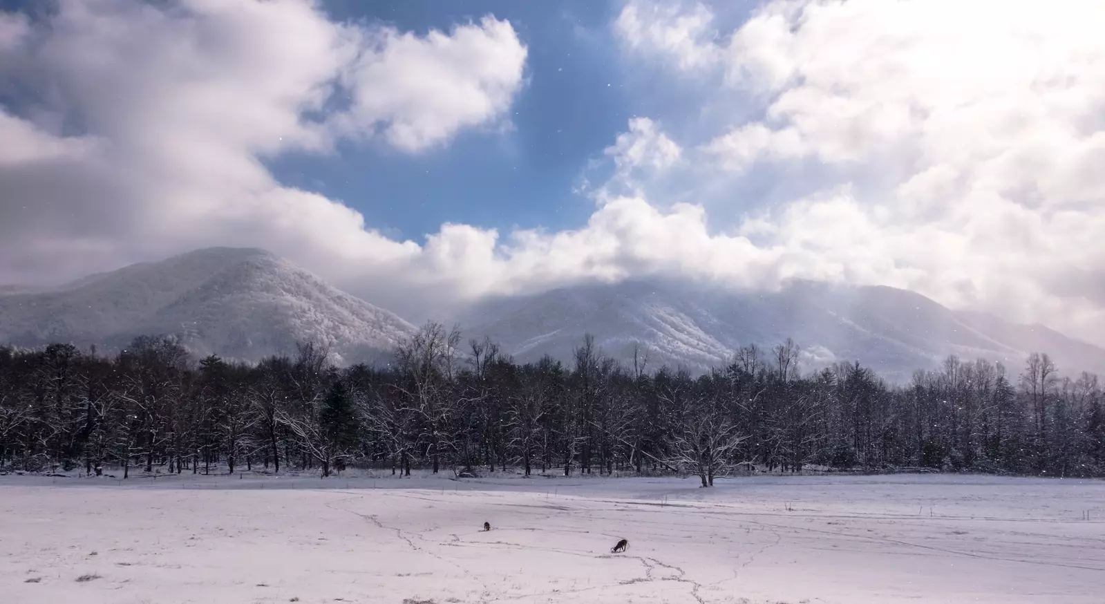 Cades Cove covered in snow