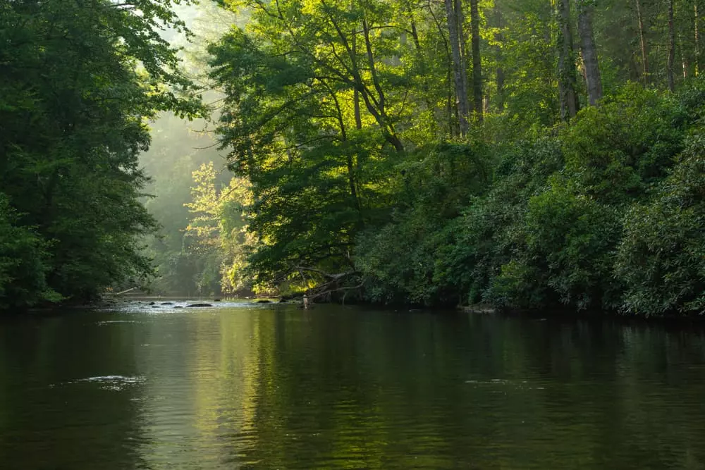 Your Guide To Abrams Creek Fishing In Cades Cove