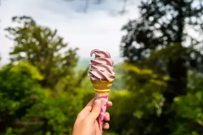 pink soft serve ice cream outside in woods at the cades cove campground