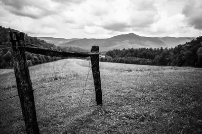 black and white meadow cades cove