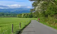 woman biking in cades cove