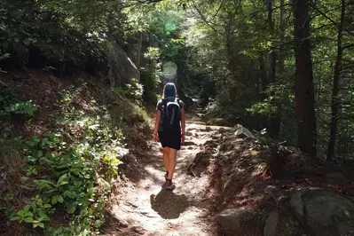 woman hiking on a trail in the smoky mountains