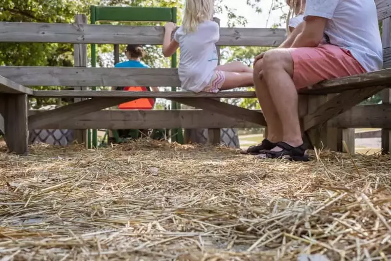 people on a hayride