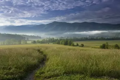 Cades Cove during summer