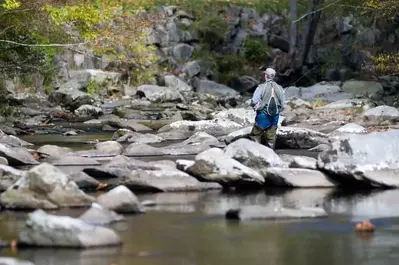 Man fishing in Smoky Mountains
