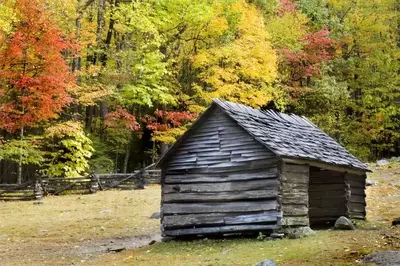An historic cabin in Cades Cove with fall foliage in the background.