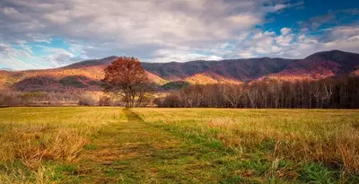 Fall view in Cades Cove