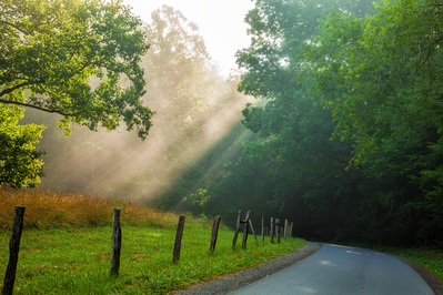 sun shining on Cades Cove Loop Road