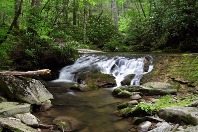 stream next to Parson Branch road