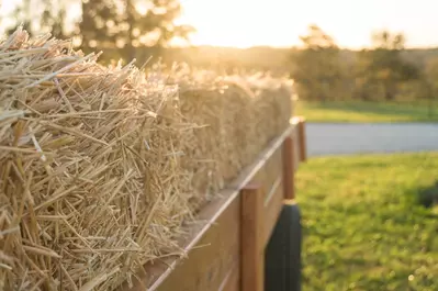 hayride trailer