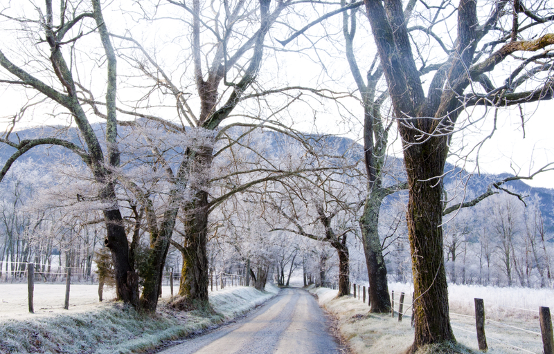 winter in cades cove