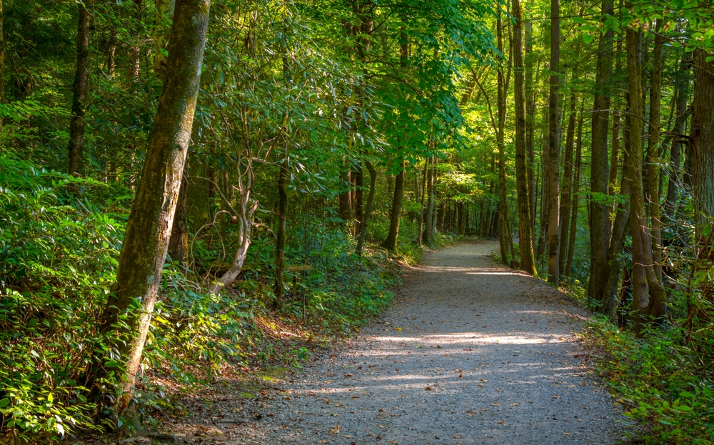 rich mountain road cades cove