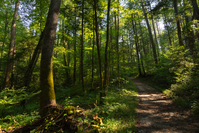 rich mountain loop trail cades cove