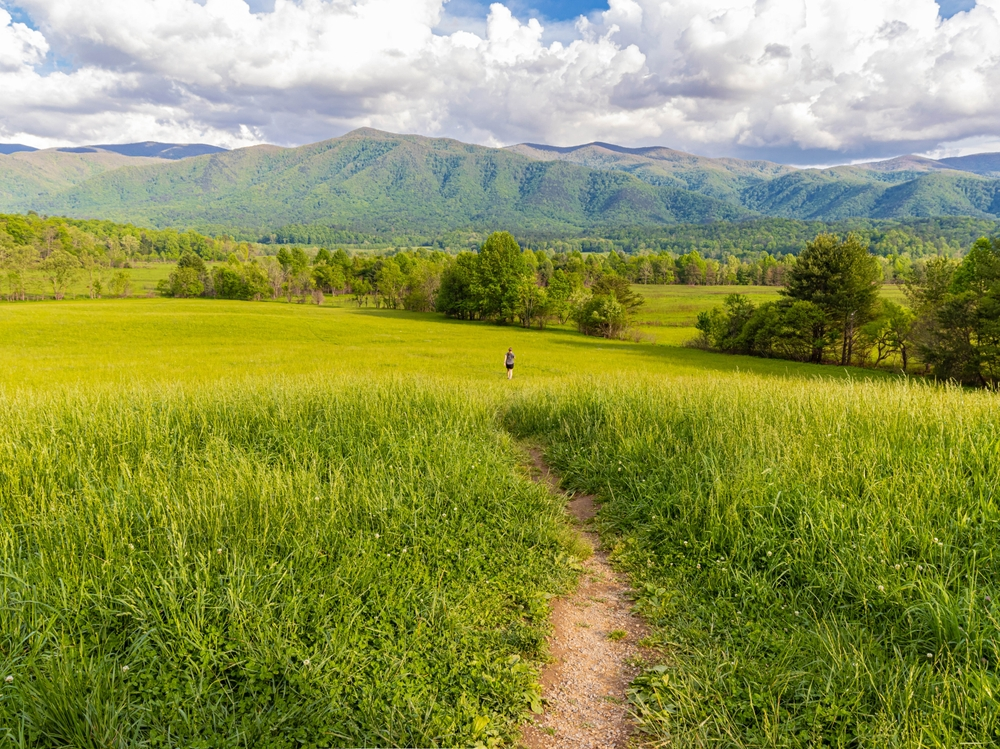 cades cove tennessee