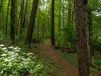 easy hikes in cades cove