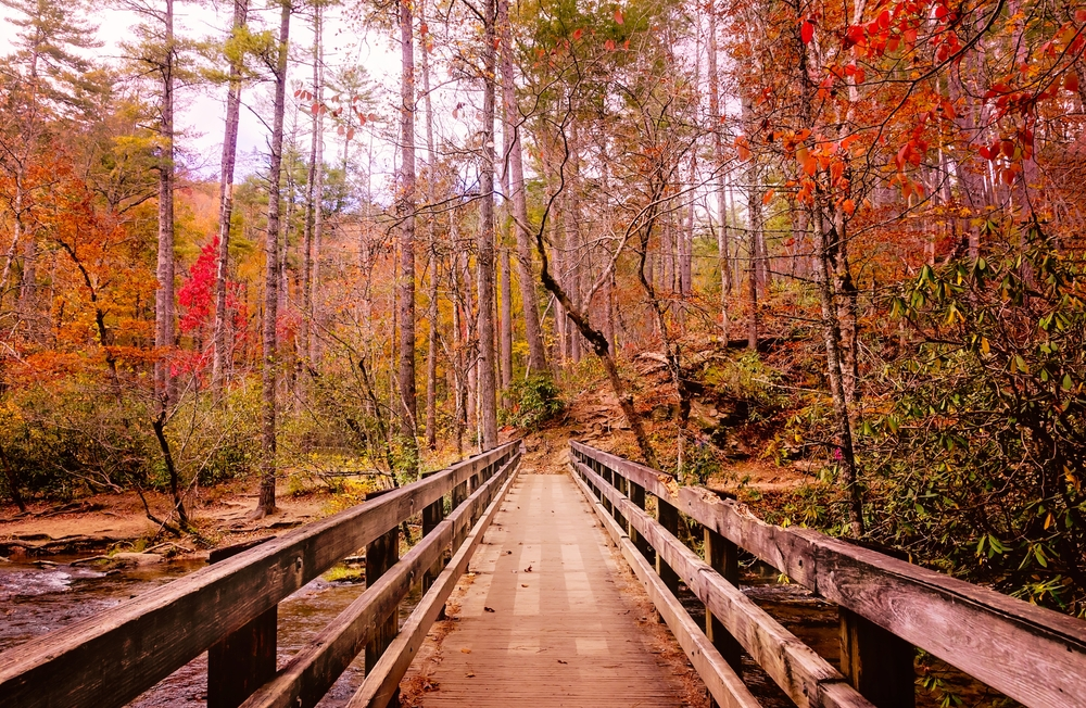 fall hiking cades cove
