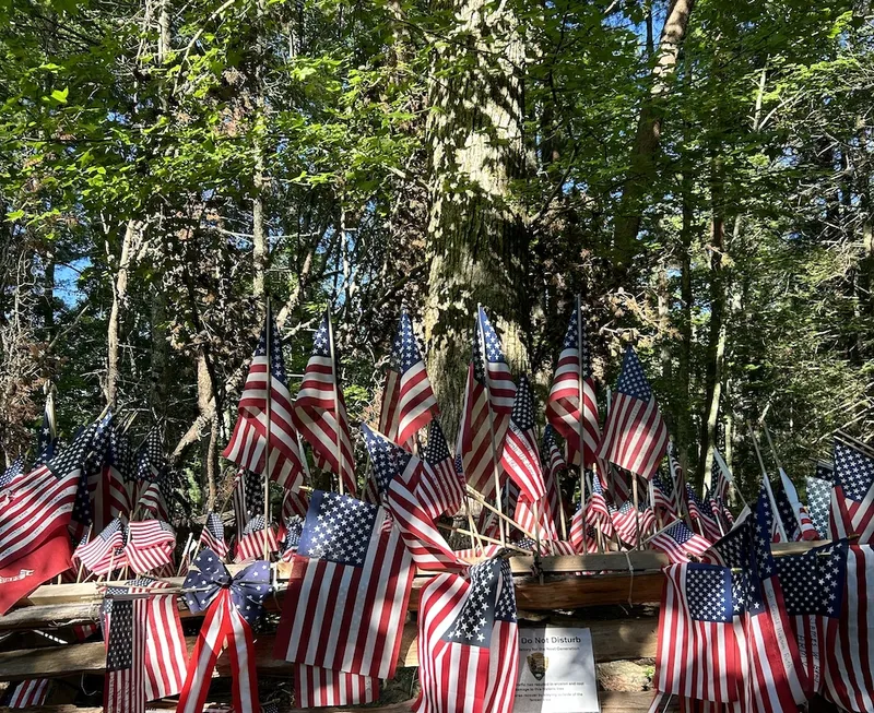pearl harbor tree cades cove