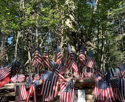 pearl harbor tree cades cove
