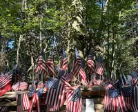 pearl harbor tree cades cove