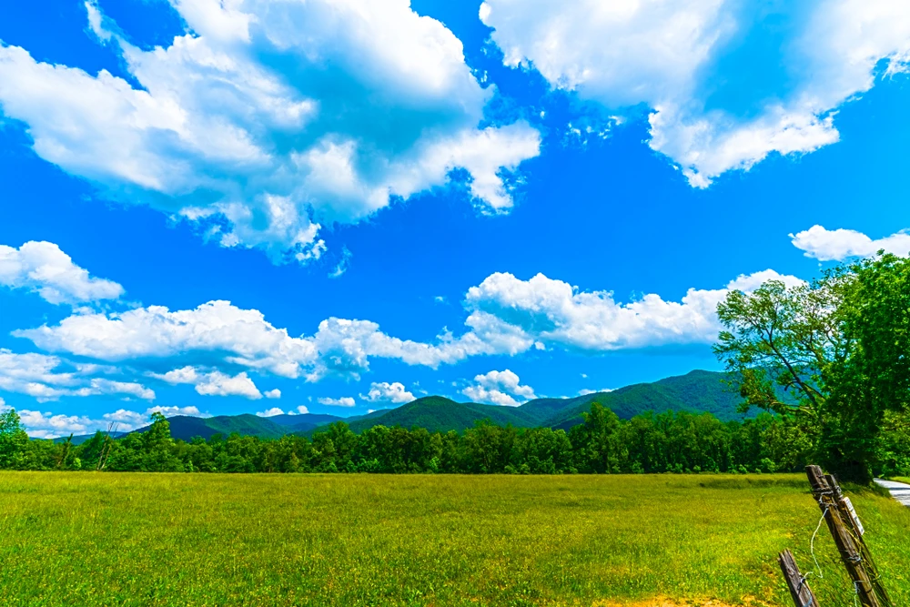 cades cove tn wedding