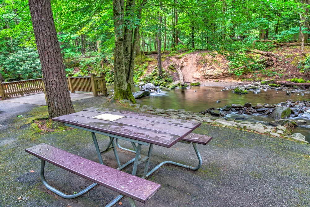 cades cove picnic area