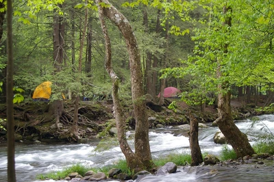 camping near cades cove