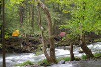 camping near cades cove