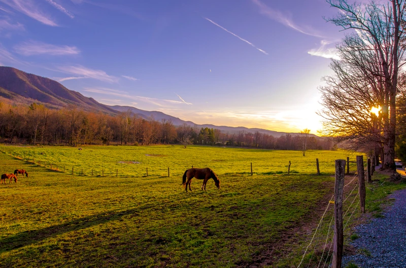 sunrise cades cove