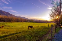 sunrise cades cove