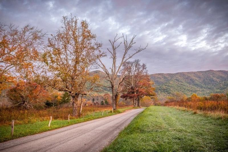 sparks lane cades cove smoky mountains