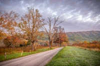 sparks lane cades cove smoky mountains