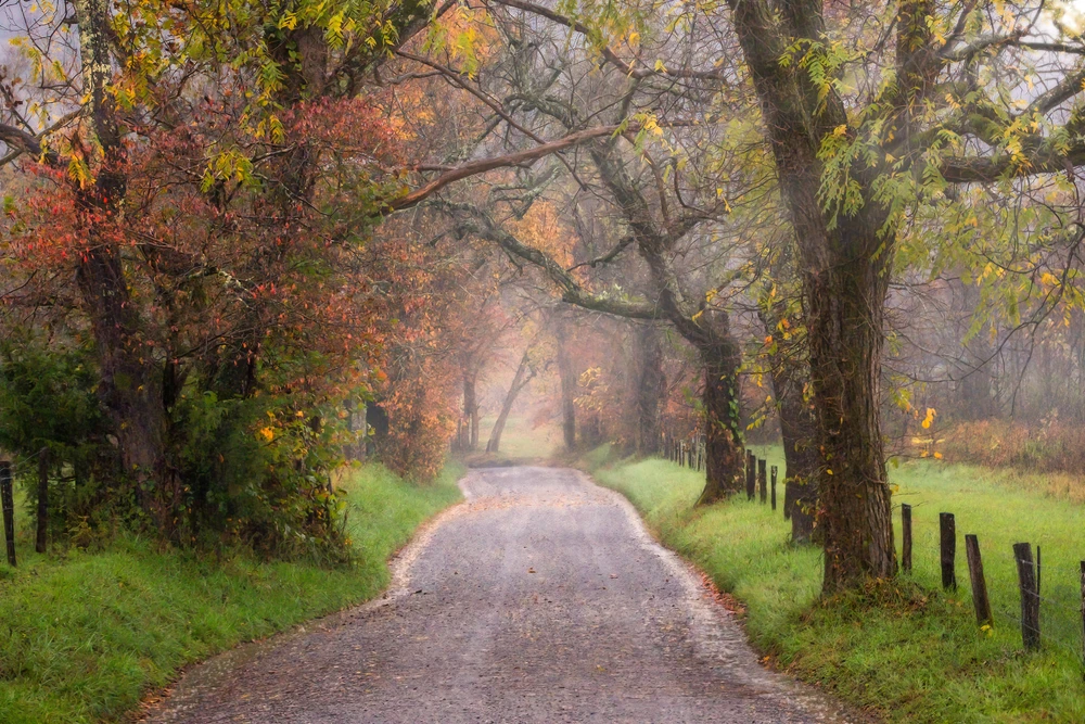 sparks lane cades cove