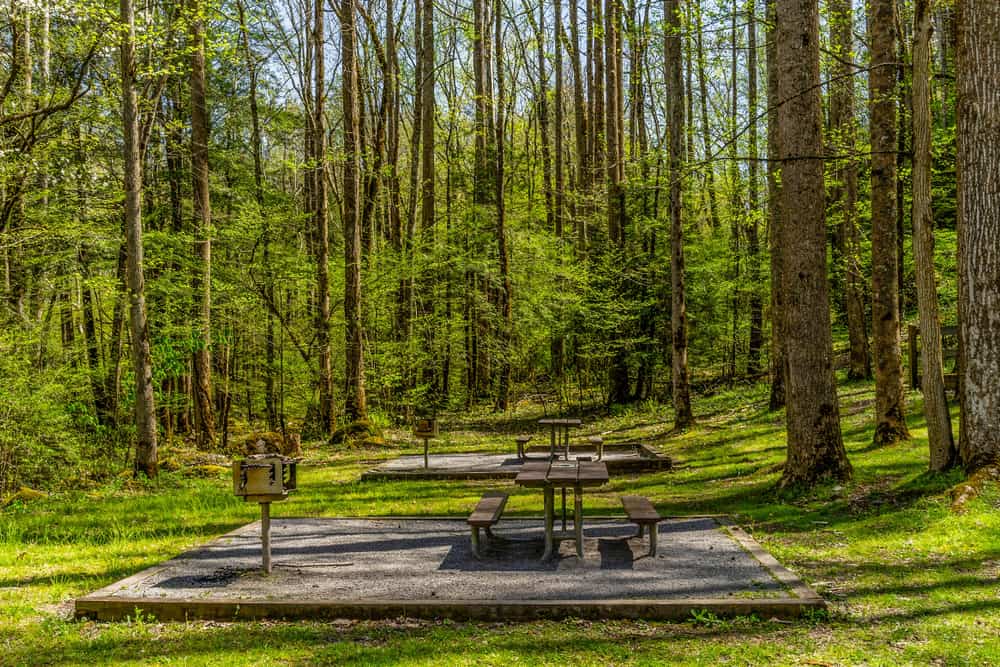 Top 4 Reasons Why the Cades Cove Picnic Area is the Perfect Place for Lunch