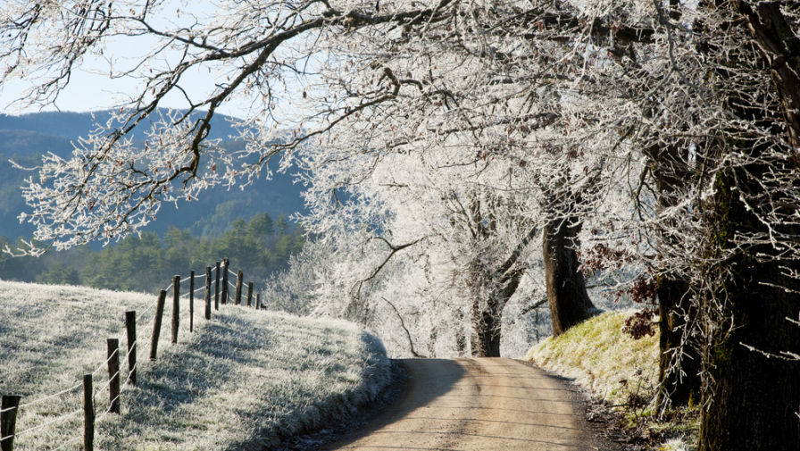 4 Things to Do in Cades Cove in Winter