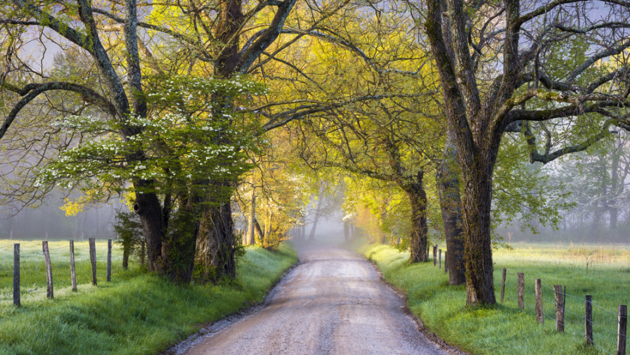 3 Guided Tours of Cades Cove Loop Road That Are Perfect for First Time Visitors