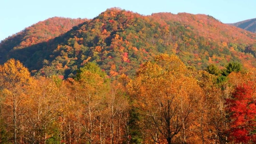 Your Guide to Visiting Cades Cove in the Fall