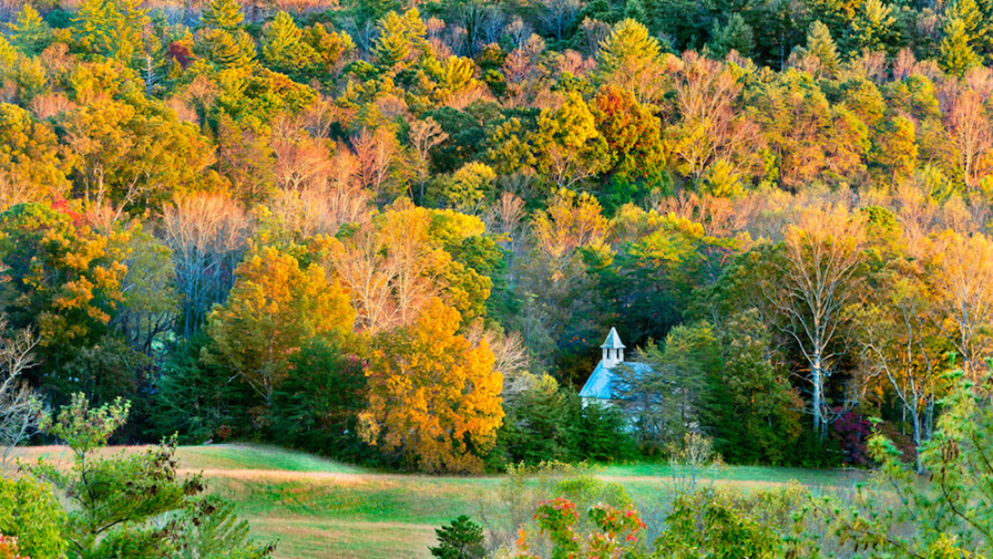4 Reasons Why You Should Visit Cades Cove in the Fall