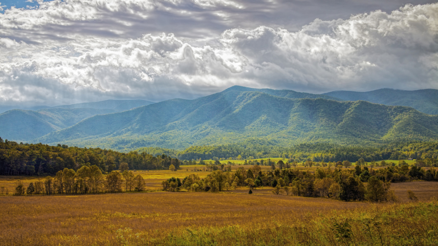 Answers to Your Most Popular Questions About Cades Cove