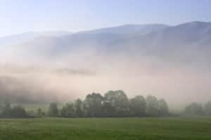 Foggy morning in Cades Cove Tennessee