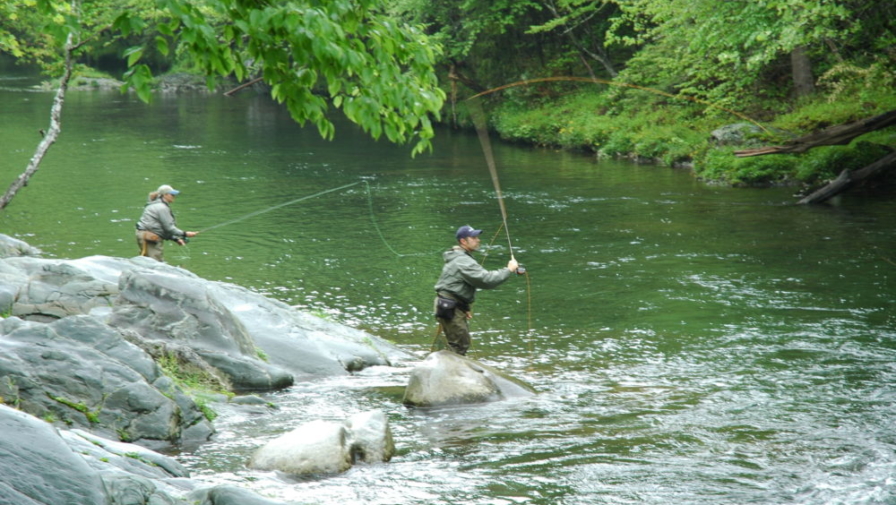 Top 5 Reasons You Should Go Fishing in Cades Cove