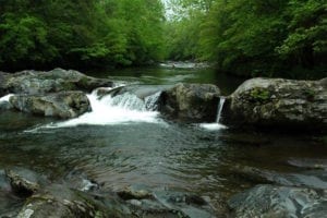 creek in the smoky mountains