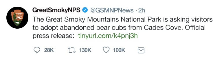 Tweet from GSMNPNews about adopting bear cubs from Cades Cove.