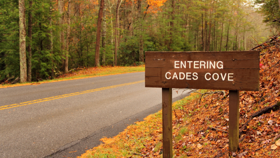 Top Things to Keep Your Eyes Out for Along the Cades Cove Loop (Includes Scavenger Hunt)